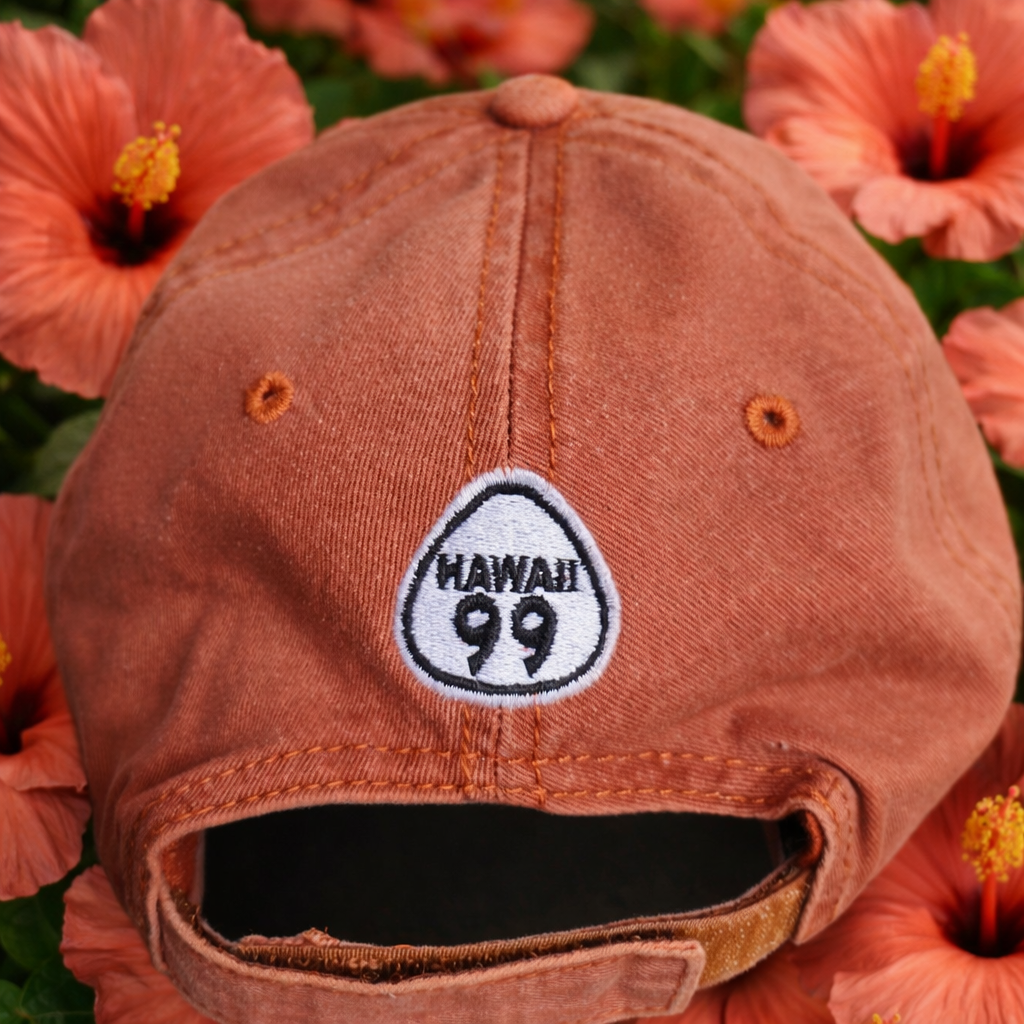 Hawaii Pineapple Baseball Dad Cap - Route 99