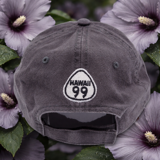 Hawaii Pineapple Baseball Dad Cap - Route 99