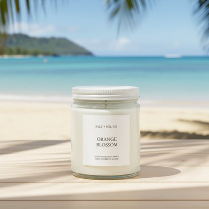 Salt + Sol Candles 9oz