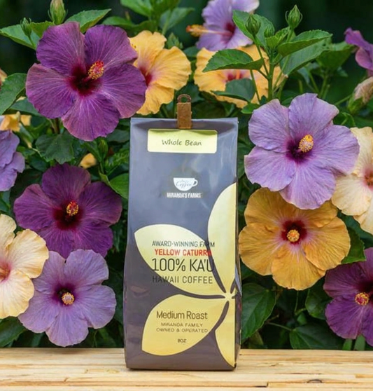 Yellow Caturra - Miranda Farms Coffee