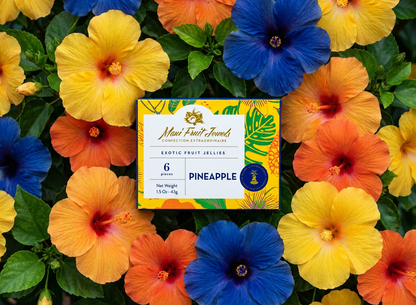 Maui Fruit Jewels
