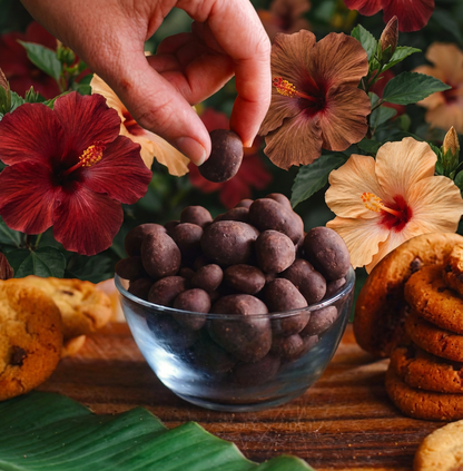 Manoa Chocolate Covered Macnuts