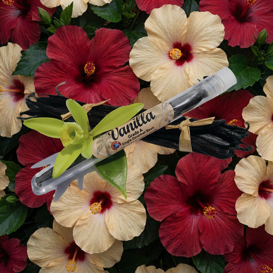 Vanilla Bean Konaloha
