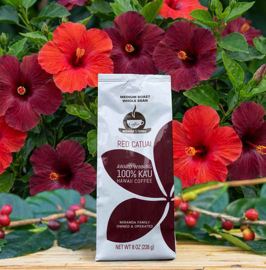 Red Catuai - Miranda Farms Coffee