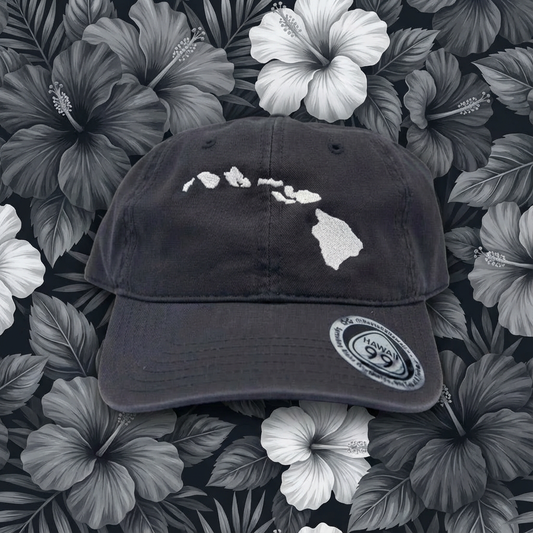 Hawaii Island Baseball Dad Cap - Route 99