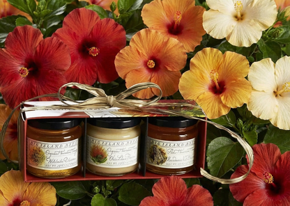 Big Island Bees Honey 4.5 Oz Set Of 3